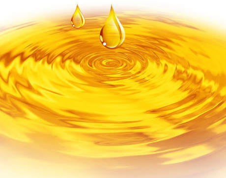 榨油機廠家講述玉米胚芽榨油機壓榨玉米油的價值