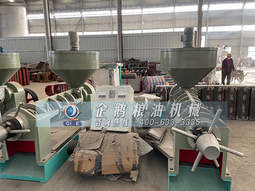 ������ѿե�͙C